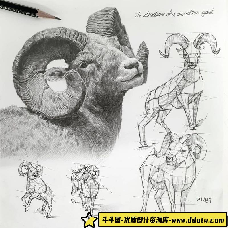 anjjaemi手绘稿-绘师作品-78M-473P