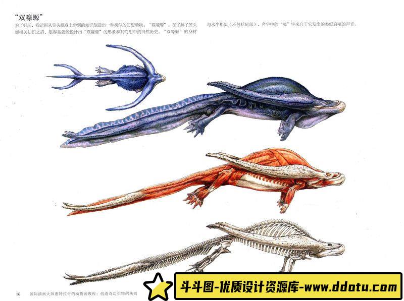 280-惠特拉奇-艺用生物解剖-绘师作品专区-472MB-170P