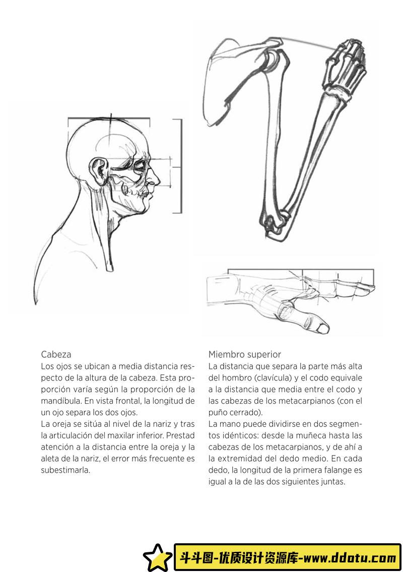 120–MOTE十人十色画集-绘师作品专区-106MB-46P