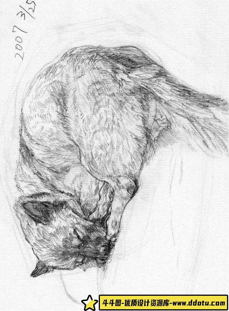 167–コダマンダラ画集-绘师作品专区-156MB-15P