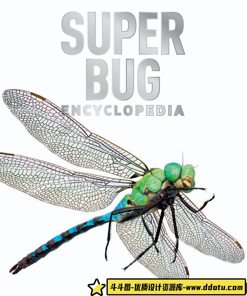 超级昆虫百科全书-创作学习专区-242MB-210P-1PDF