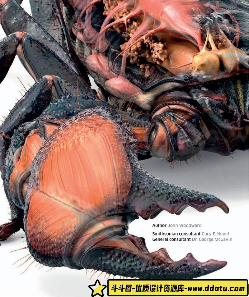 超级昆虫百科全书-创作学习专区-242MB-210P-1PDF