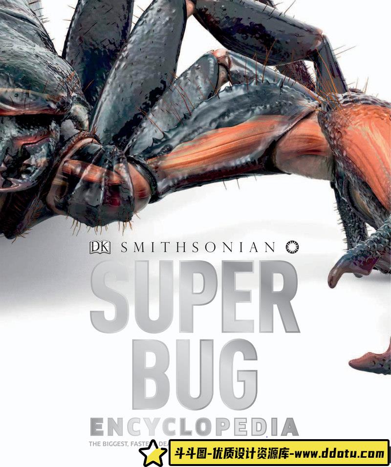 超级昆虫百科全书-创作学习专区-242MB-210P-1PDF