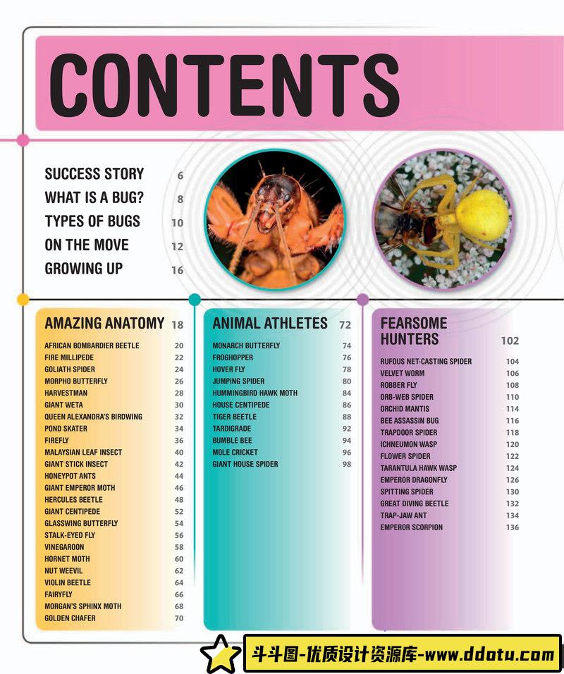 超级昆虫百科全书-创作学习专区-242MB-210P-1PDF