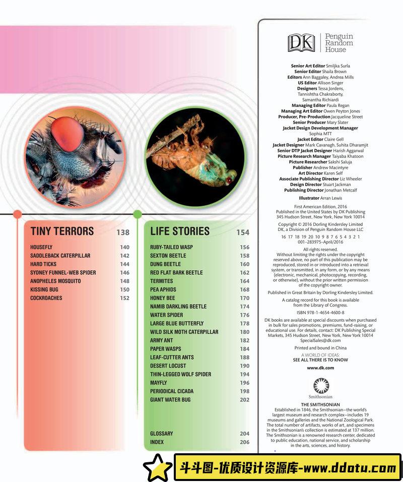 超级昆虫百科全书-创作学习专区-242MB-210P-1PDF