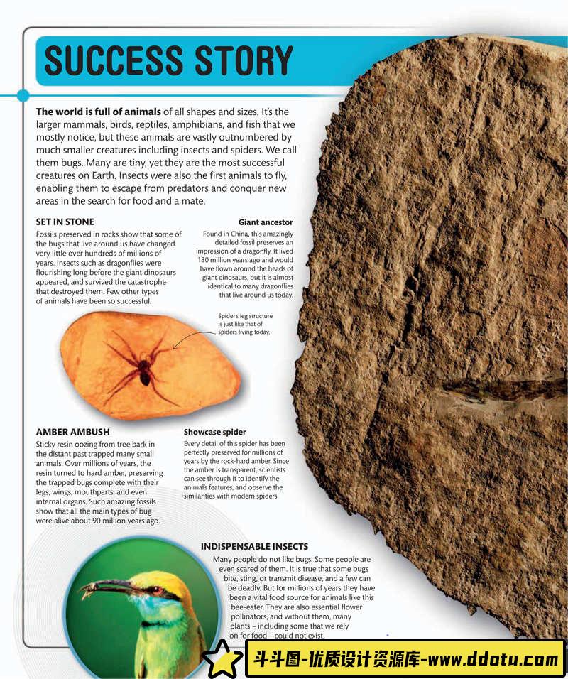 超级昆虫百科全书-创作学习专区-242MB-210P-1PDF