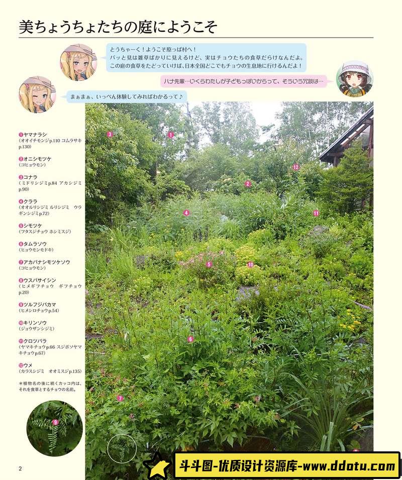 うりも 角丸つぶら 美丽的蝴蝶图鉴-创作学习-102MB-163P-1PDF