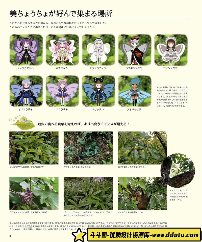 うりも 角丸つぶら 美丽的蝴蝶图鉴-创作学习-102MB-163P-1PDF