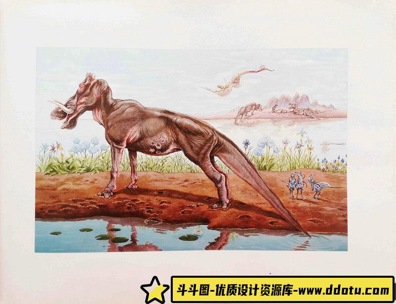 惠特拉奇的动物绘集-创作学习-106MB-161P-1PDF