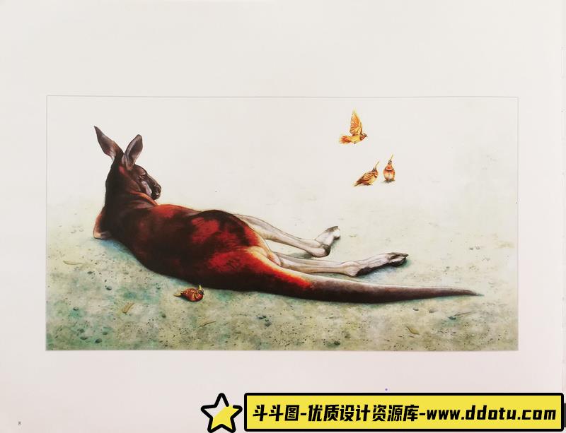 惠特拉奇的动物绘集-创作学习-106MB-161P-1PDF