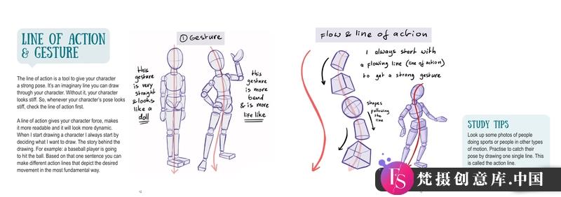 Mitch头部解剖-创作学习-339MB-44张+1PDF+1视频