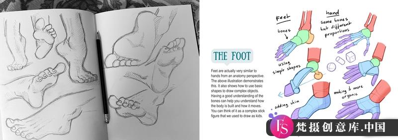 Mitch下身解剖-创作学习-413MB-33张+1PDF+2视频