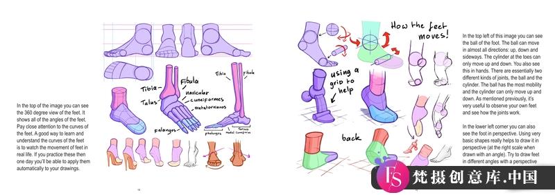 Mitch下身解剖-创作学习-413MB-33张+1PDF+2视频