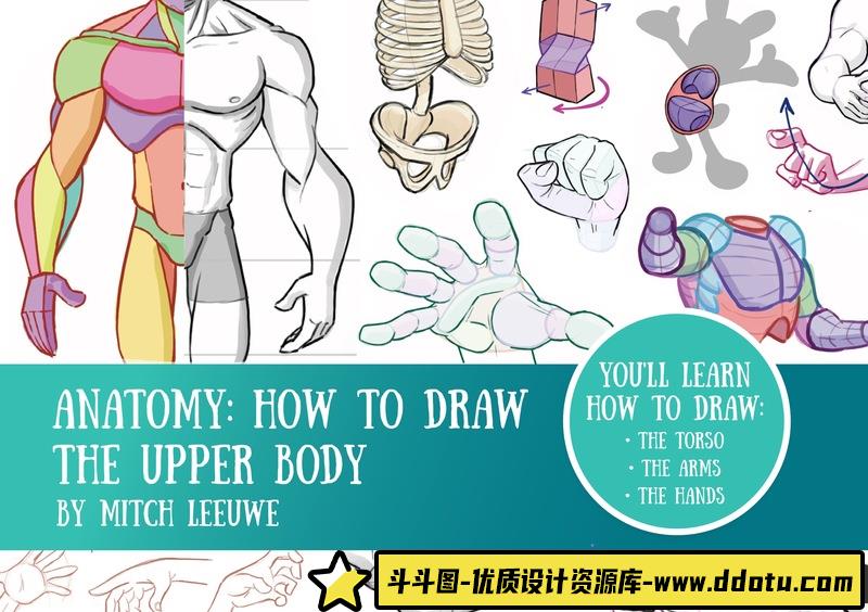 Mitch上身解剖-创作学习-328MB-33张+1PDF+2视频-斗斗图