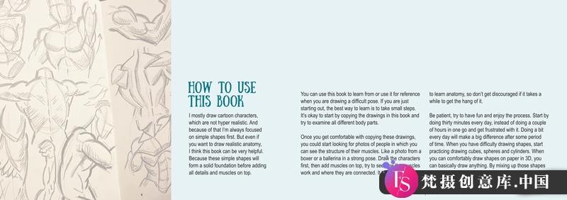 Mitch上身解剖-创作学习-328MB-33张+1PDF+2视频