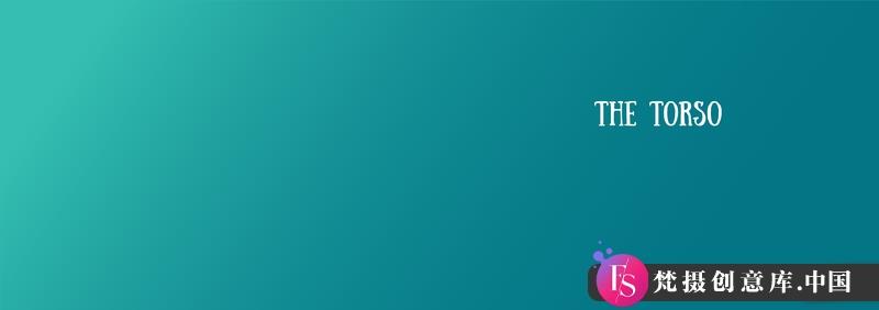 Mitch上身解剖-创作学习-328MB-33张+1PDF+2视频