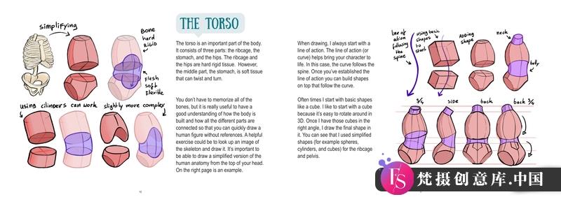 Mitch上身解剖-创作学习-328MB-33张+1PDF+2视频