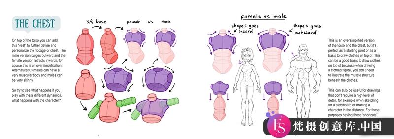 Mitch上身解剖-创作学习-328MB-33张+1PDF+2视频