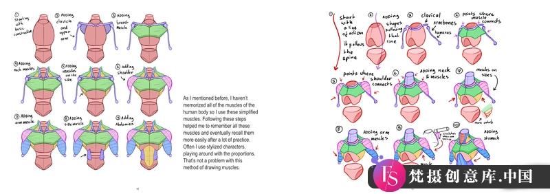 Mitch上身解剖-创作学习-328MB-33张+1PDF+2视频