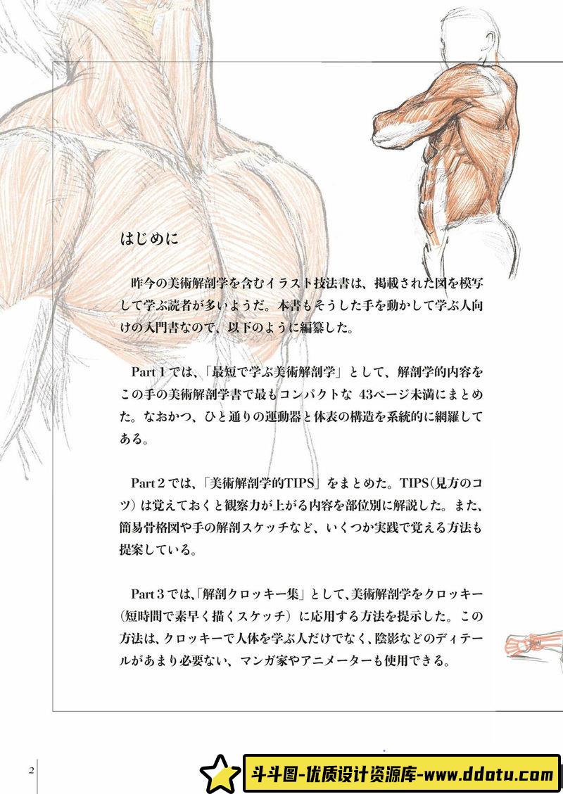 素描中的美术解剖学-创作学习-72MB-98P-1PDF