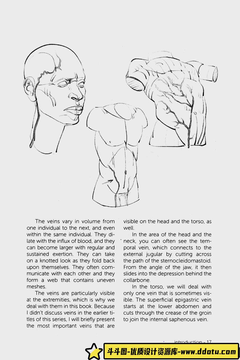 Morpho 手和脚形态解剖学-创作学习-115MB-93P