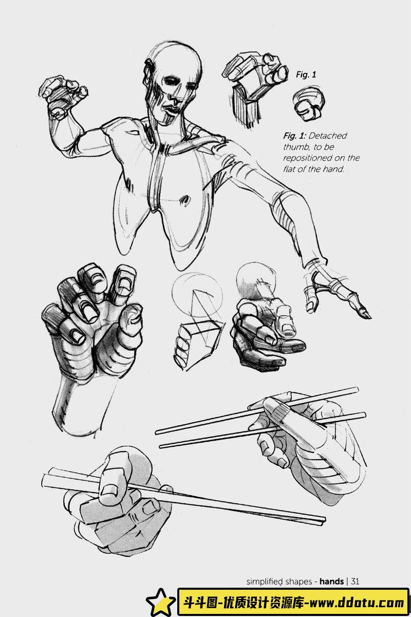 Morpho 手和脚形态解剖学-创作学习-115MB-93P