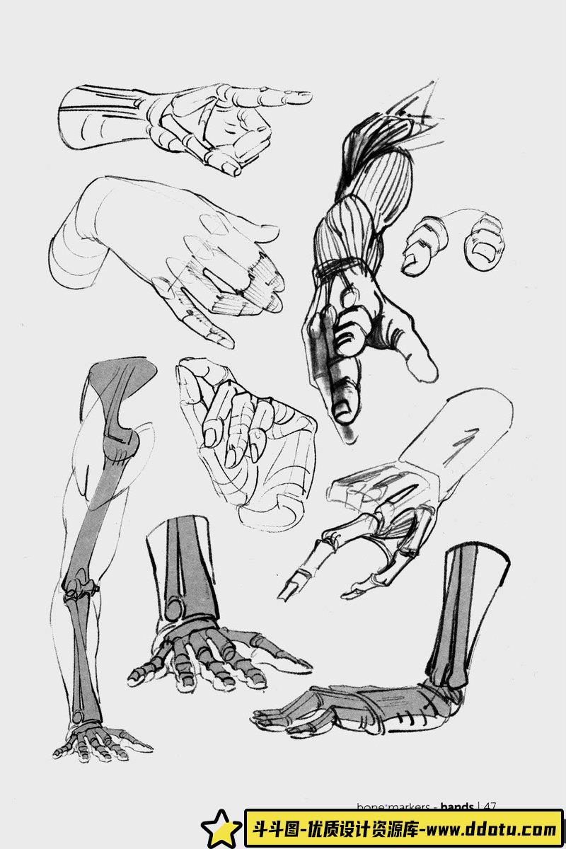 Morpho 手和脚形态解剖学-创作学习-115MB-93P