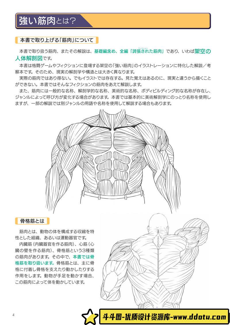 强壮肌肉的画法-创作学习-127M-148P-1PDF