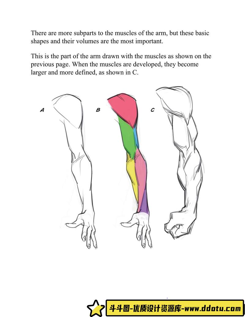 创造属于自己的动漫角色-创作学习-44M-271P-1PDF