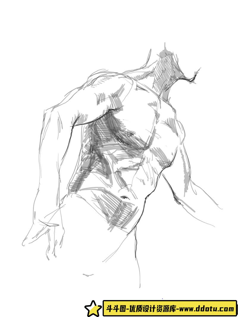 KATO 美术人体解剖-创作学习-483M-1722P