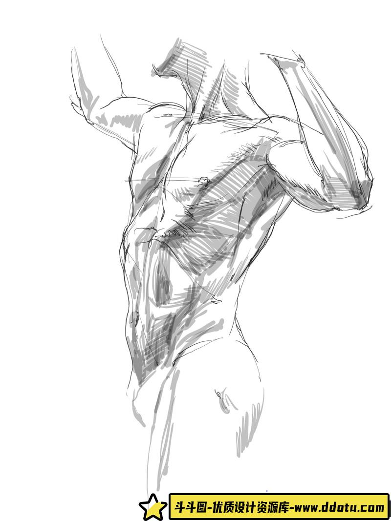 KATO 美术人体解剖-创作学习-483M-1722P