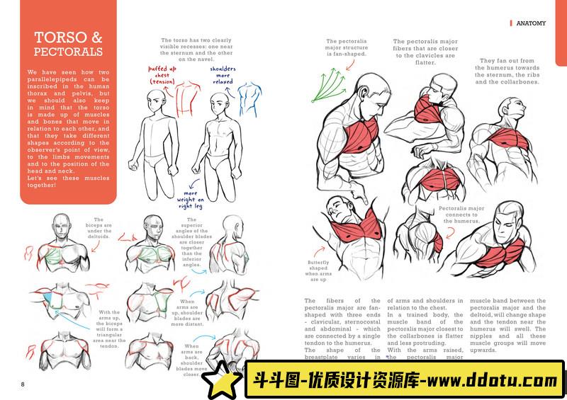 Miyuli人体绘制-创作学习-52M-56P-1PDF