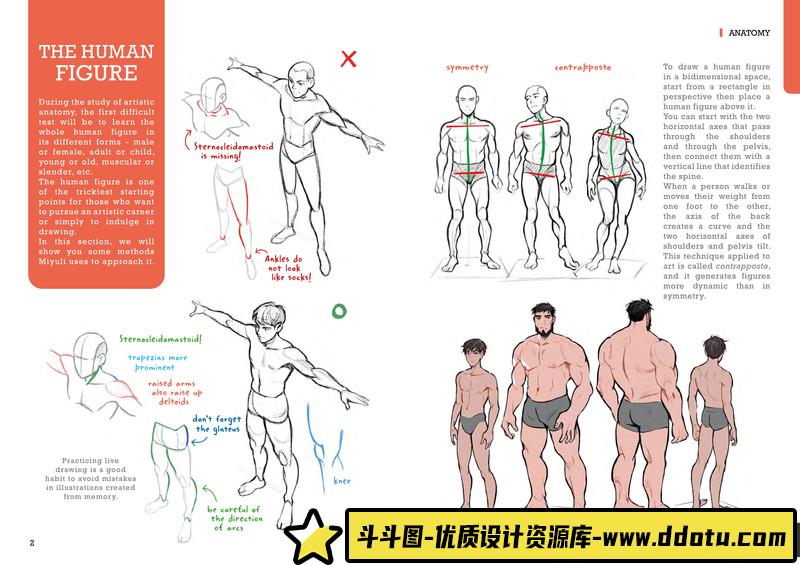 Miyuli人体绘制-创作学习-52M-56P-1PDF