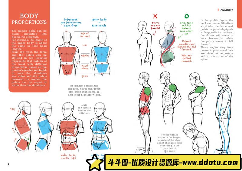 Miyuli人体绘制-创作学习-52M-56P-1PDF