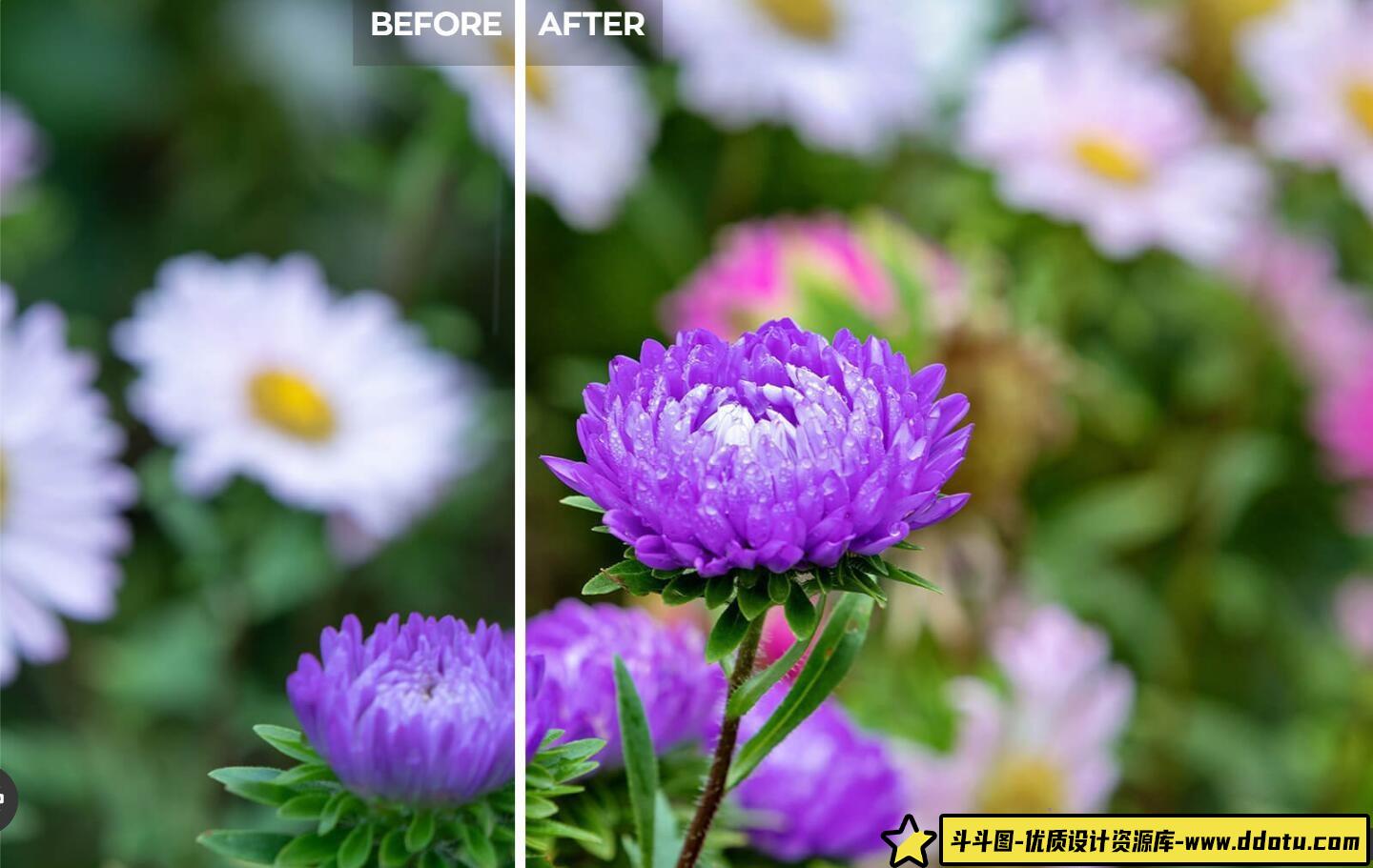 探索 RadiantPhoto 1.3.0.368 中文版,PS2024 专业修图插件震撼登场!