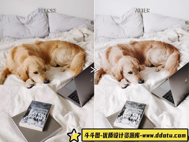 LUT预设-MINIMAL-用于视频剪辑和照片后期色彩分级的LUT预设