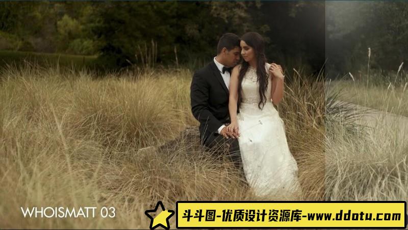 LUT预设-索尼a7sIII和佳能R5电影婚礼视频后期增强LUT预设WhoisMattLUTs