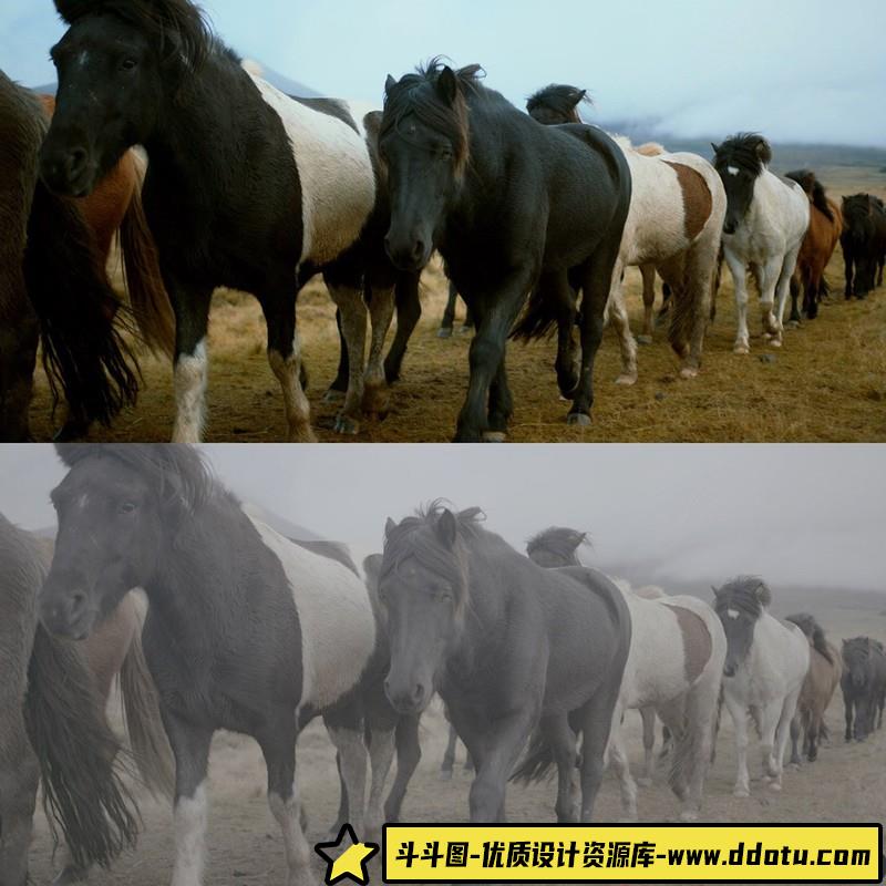 ThiagoVibesp-用于佳能LOG,SonyS-LOG,BMPCC等好莱坞电影色调LUT预设