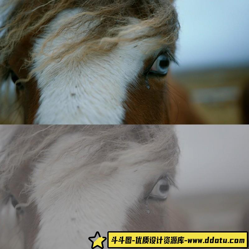 ThiagoVibesp-用于佳能LOG,SonyS-LOG,BMPCC等好莱坞电影色调LUT预设