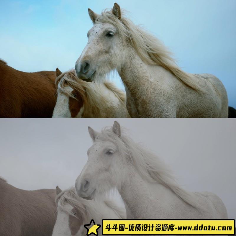 ThiagoVibesp-用于佳能LOG,SonyS-LOG,BMPCC等好莱坞电影色调LUT预设