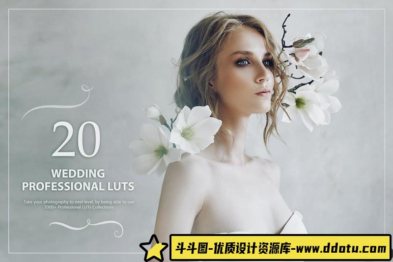 电影胶片色调旅拍婚礼人像LUTS预设20WeddingLUTsPack-斗斗图