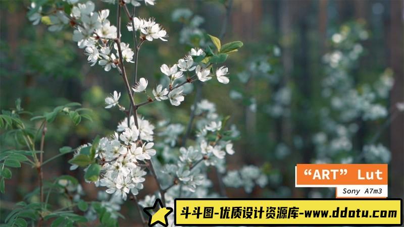 来自AndreySoladkov的高端电影影视调色分级LUT预设包CinematicLutsPack