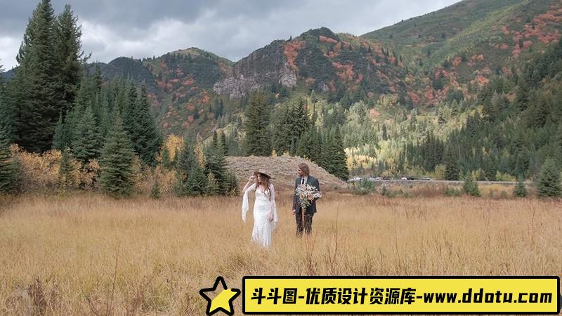 棕褐色调复古电影胶片lut预设及lr预设LightroomPresetsandLUTs预设