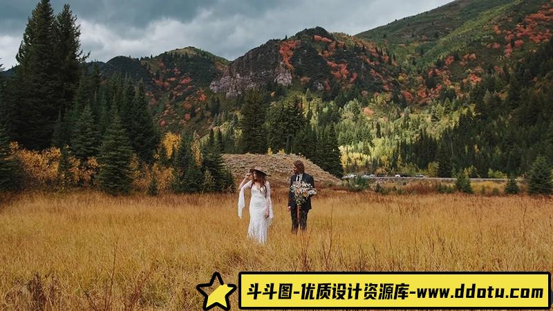 棕褐色调复古电影胶片lut预设及lr预设LightroomPresetsandLUTs预设