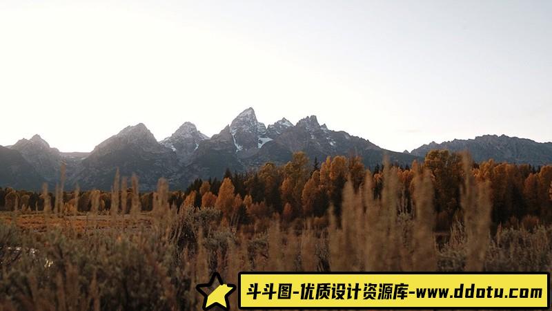 棕褐色调复古电影胶片lut预设及lr预设LightroomPresetsandLUTs预设