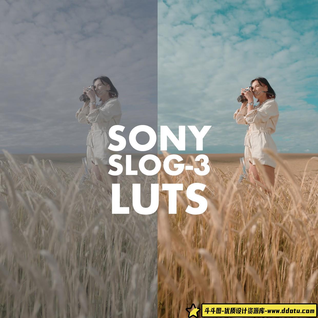 Alexandru Don-SONY SLOG 3-SKINTONE EDITION 索尼SLOG 3电影调色LUT预设