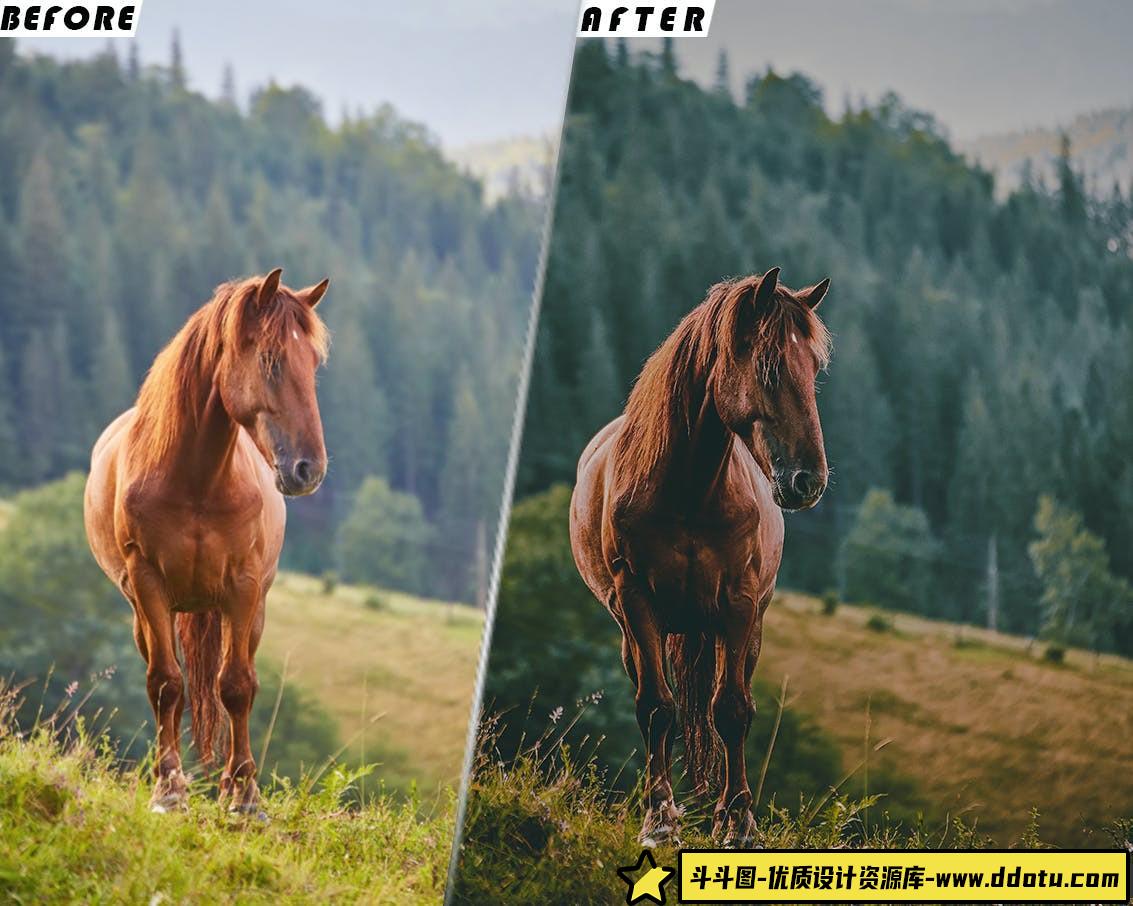 旅拍电影大片后期调色LUT预设 Wanderlust Luts Video And Presets