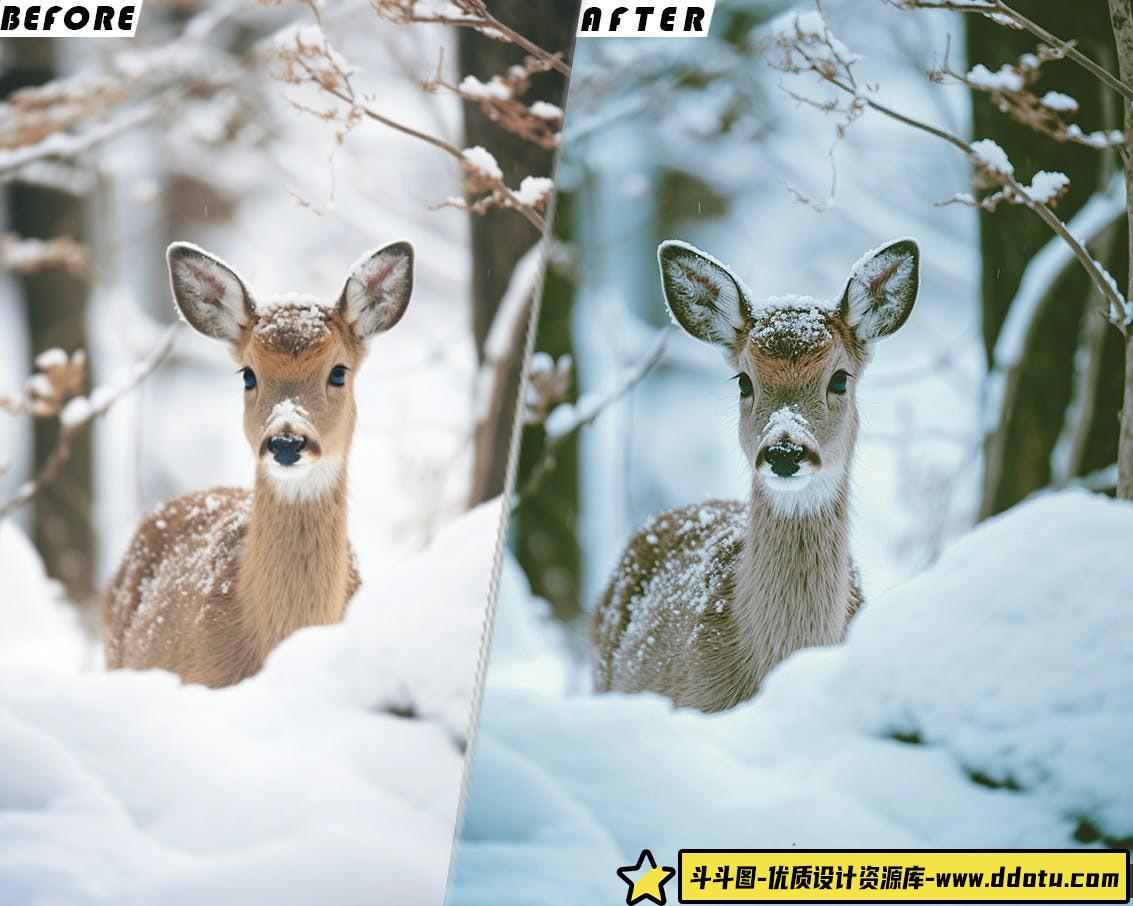 冬季电影视频后期调色LUT预设 Winter Presets And luts Videos