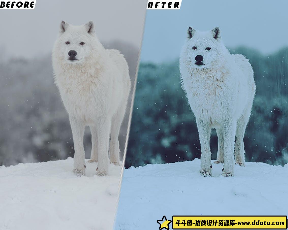 冬季电影视频后期调色LUT预设 Winter Presets And luts Videos