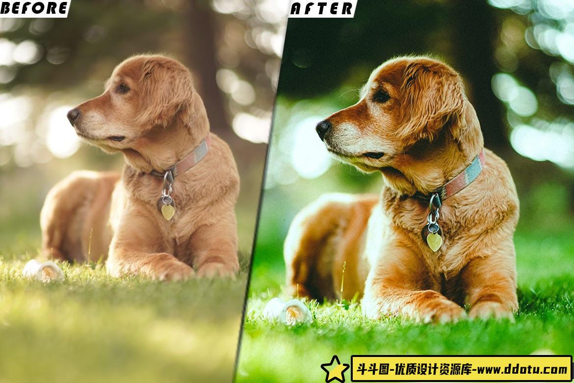 仙气飘飘清新绿色电影视频调色LUT预设 Airy Green Presets – luts